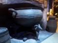 /album/bildgalleri/a2013-07-02-11-28-12-jpg/